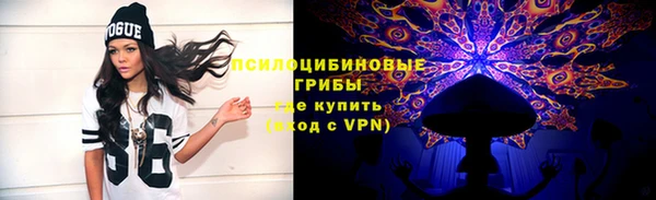 спиды Богданович