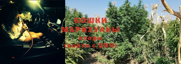 стаф Бронницы