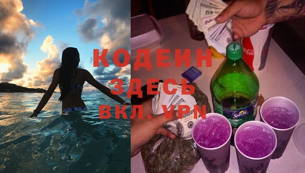 спиды Богданович