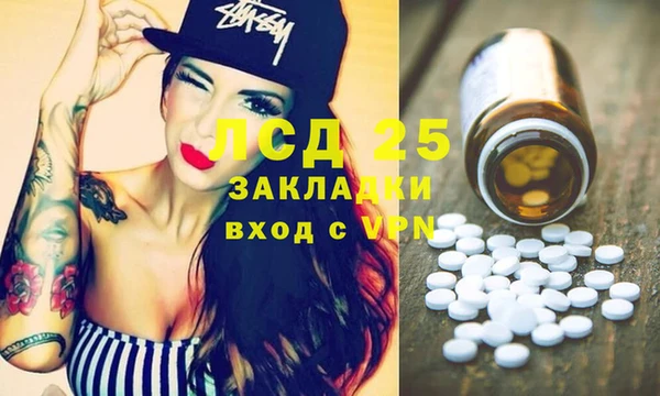 спиды Богданович