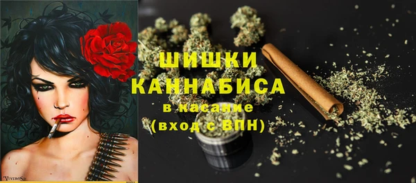 спиды Богданович