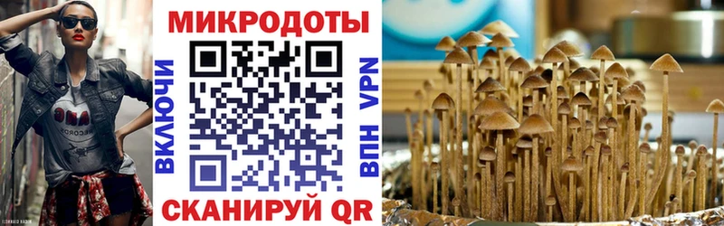 Псилоцибиновые грибы Psilocybine cubensis  Мелеуз 